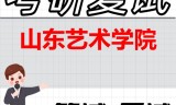 2026年山东艺术学院考研复试精品资料