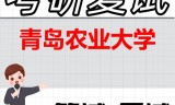 2026年青岛农业大学考研复试精品资料
